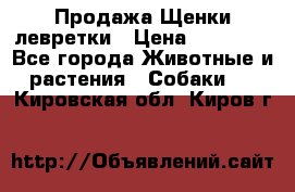 Продажа Щенки левретки › Цена ­ 40 000 - Все города Животные и растения » Собаки   . Кировская обл.,Киров г.